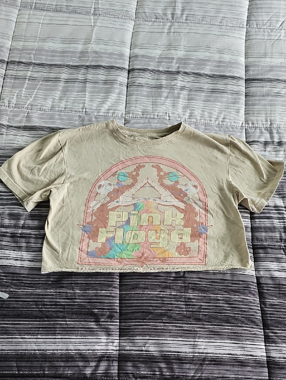 Pink Floyd Cropped Tee in Sage Green with Pastel Graphic